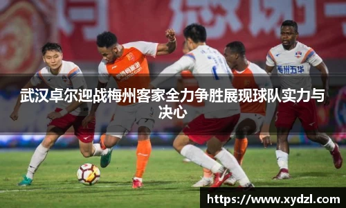 南宫28相信品牌力量