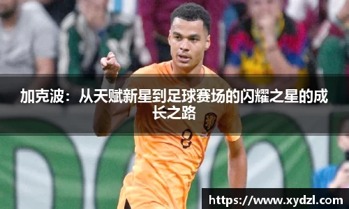 NG28相信品牌力量