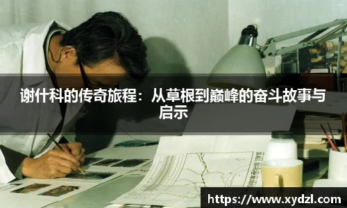 NG28相信品牌力量